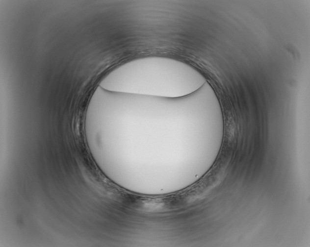 X0000113030214200908271102