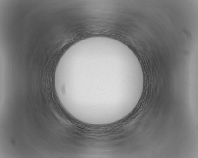 X0000113030215200908271102