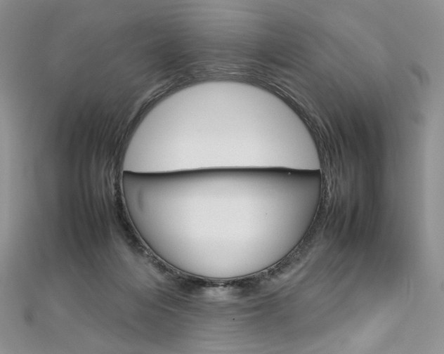 X0000113030216200908271102