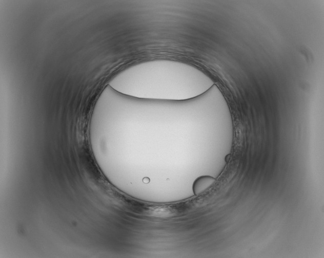 X0000113030218200908271102