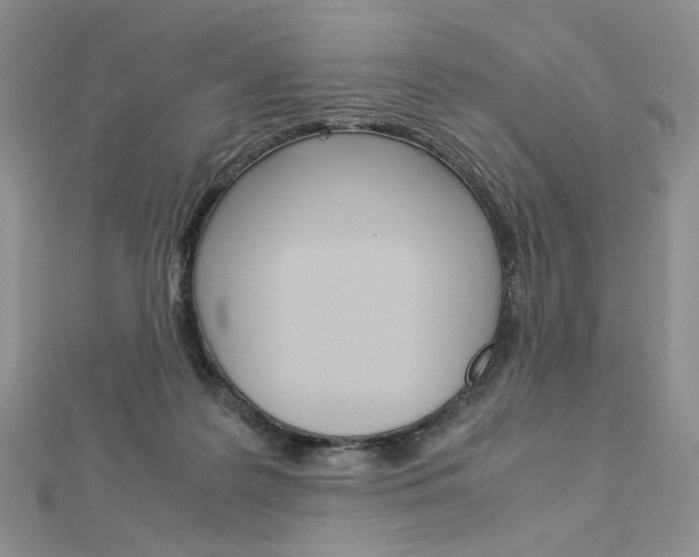 X0000113030219200908271102