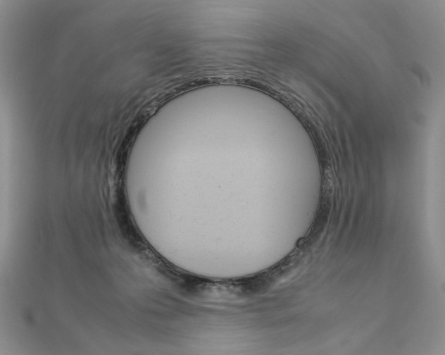 X0000113030223200908271102