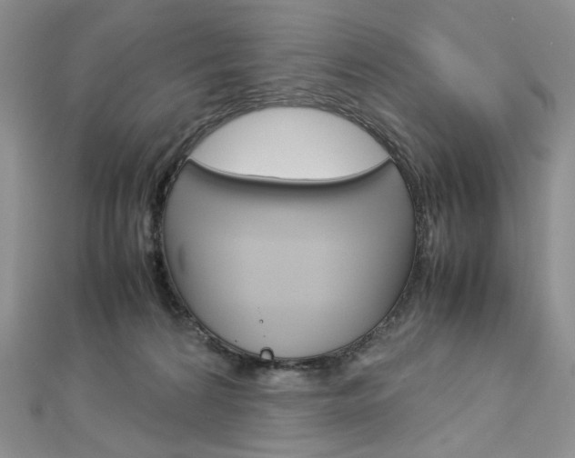 X0000113030224200908271102