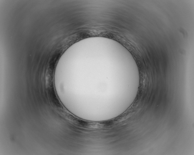 X0000113030226200908271102