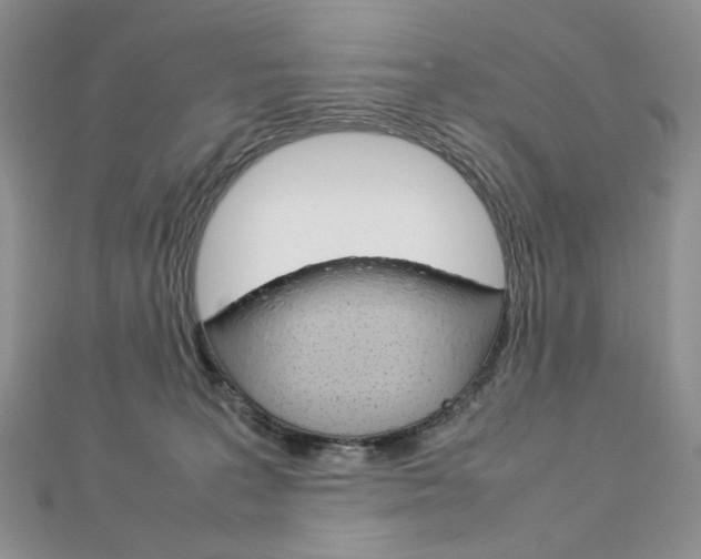 X0000113030227200908271102