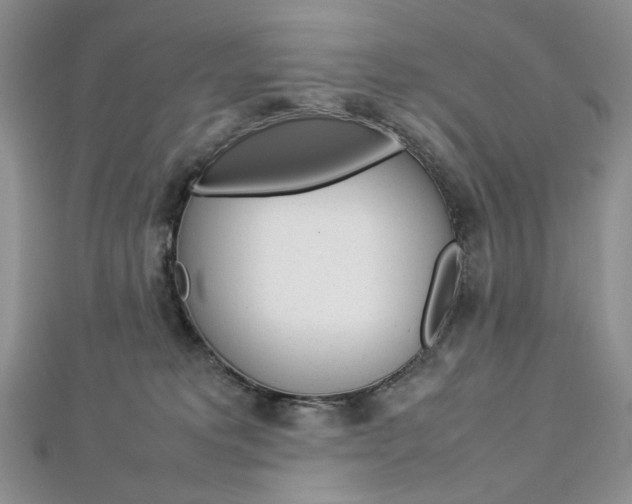 X0000113030229200908271102