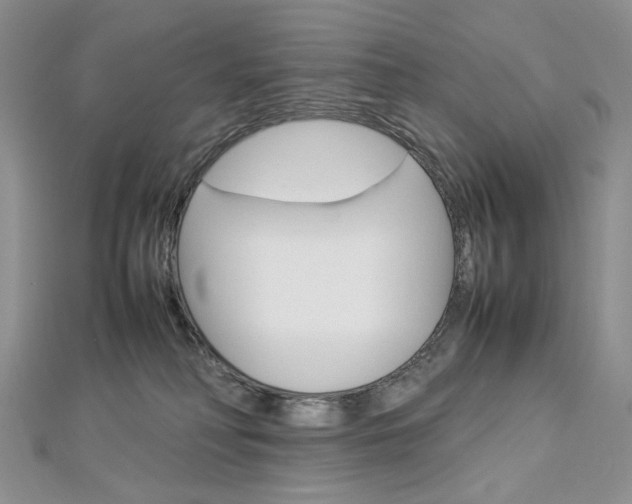 X0000113030230200908271102