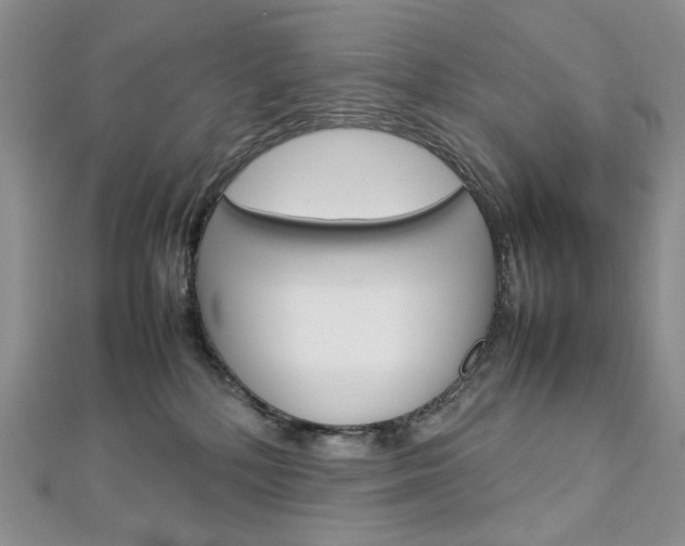 X0000113030232200908271102