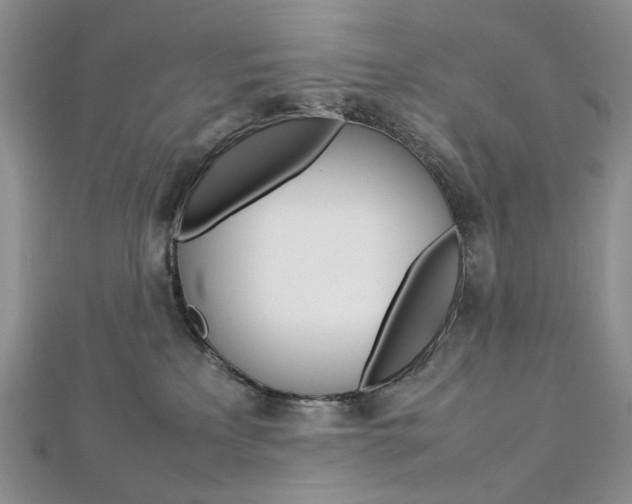 X0000113030233200908271102