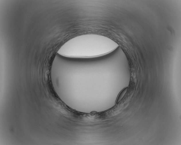 X0000113030235200908271102