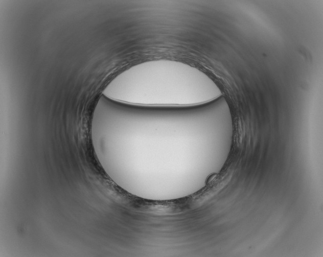 X0000113030236200908271102