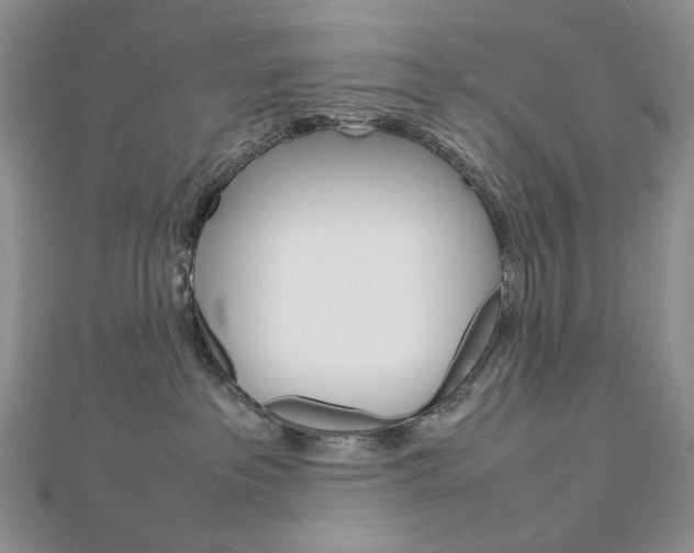 X0000113030237200908271102