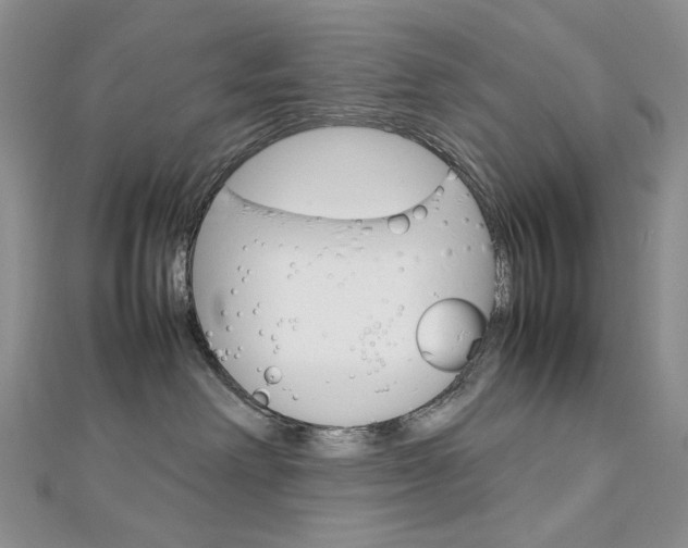 X0000113030238200908271102