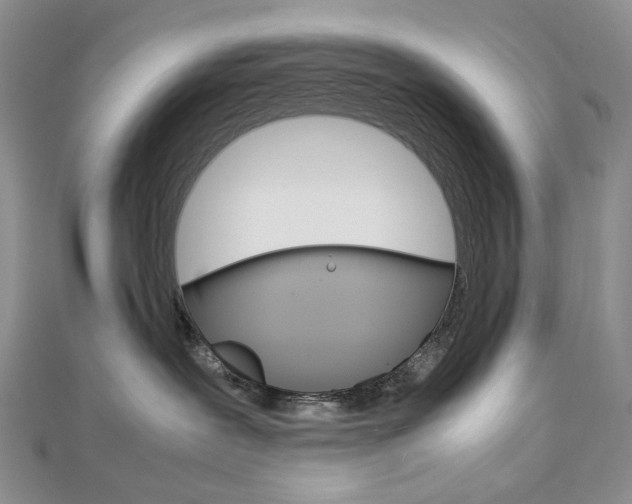 X0000113030239200908271102