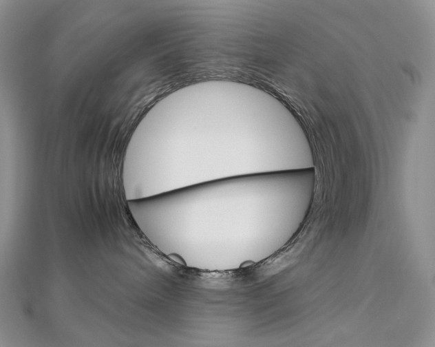 X0000113030240200908271102