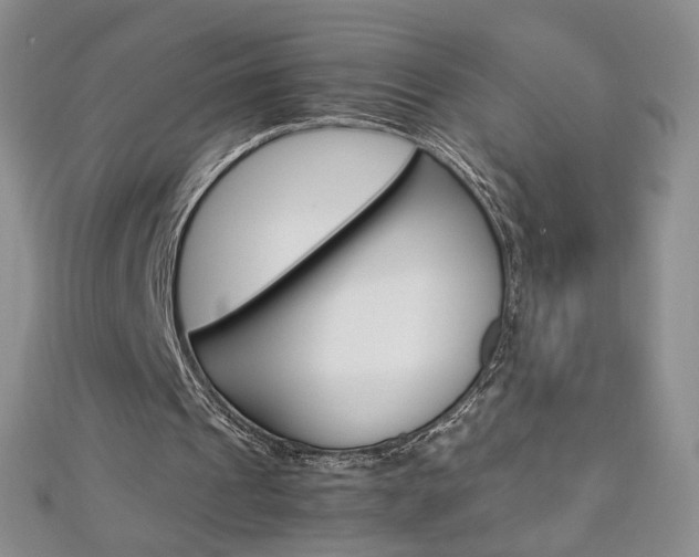 X0000113030241200908271101