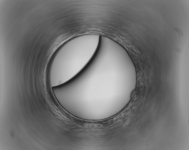 X0000113030242200908271101