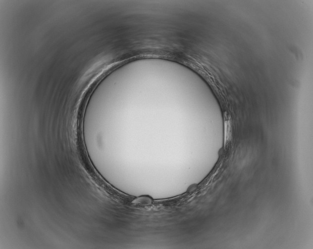 X0000113030243200908271101