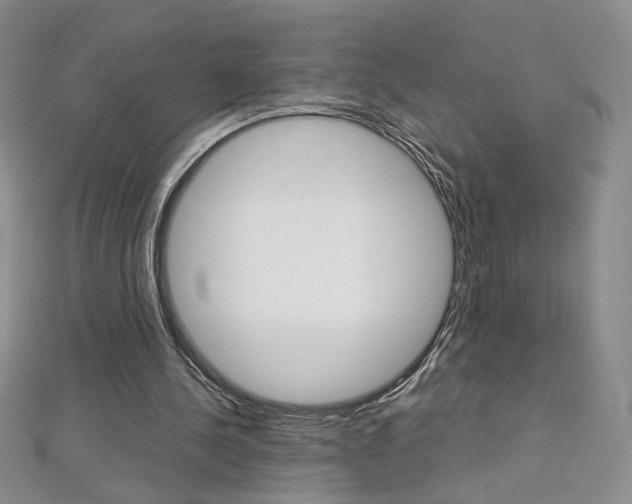 X0000113030244200908271101