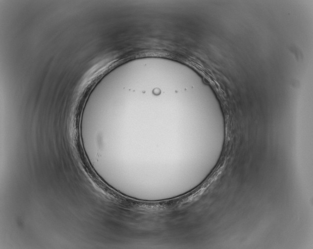 X0000113030245200908271101