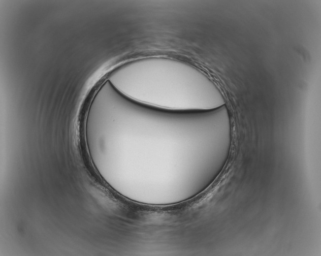 X0000113030246200908271101