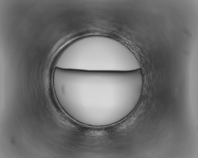 X0000113030247200908271101