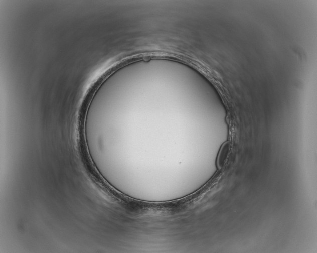 X0000113030248200908271101