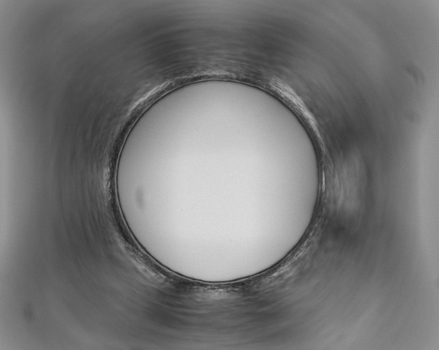 X0000113030249200908271101