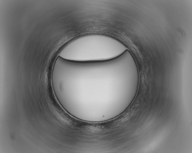 X0000113030250200908271101