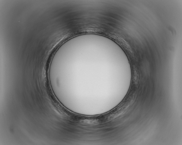 X0000113030251200908271101