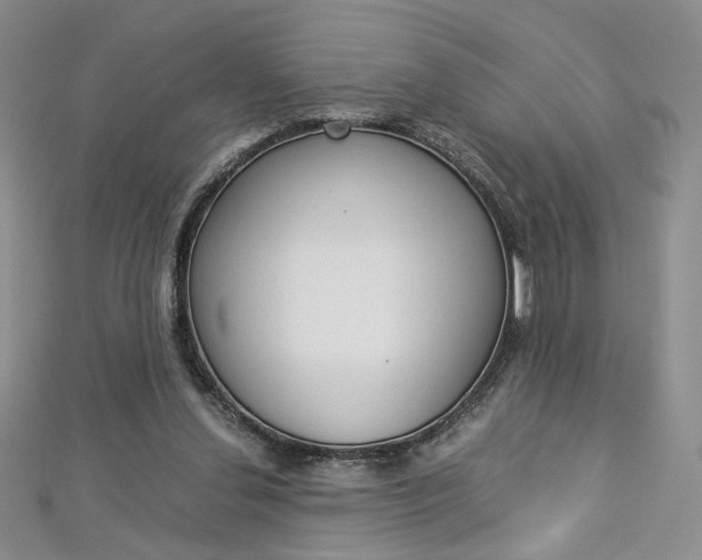 X0000113030252200908271101