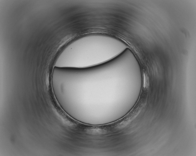 X0000113030253200908271101