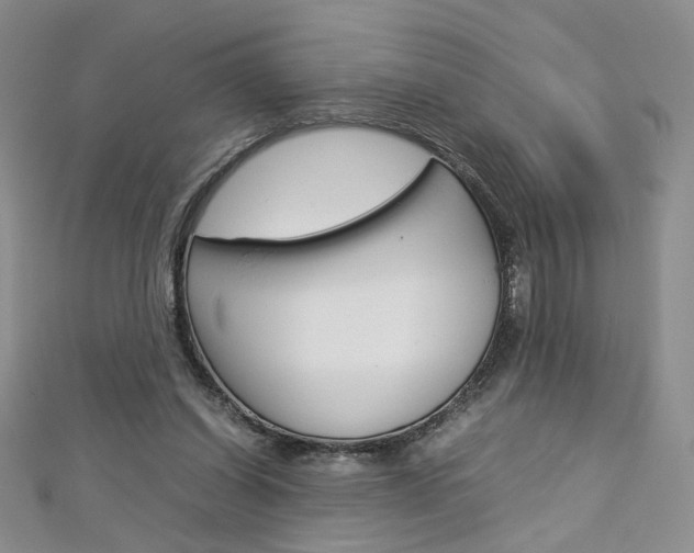 X0000113030254200908271102