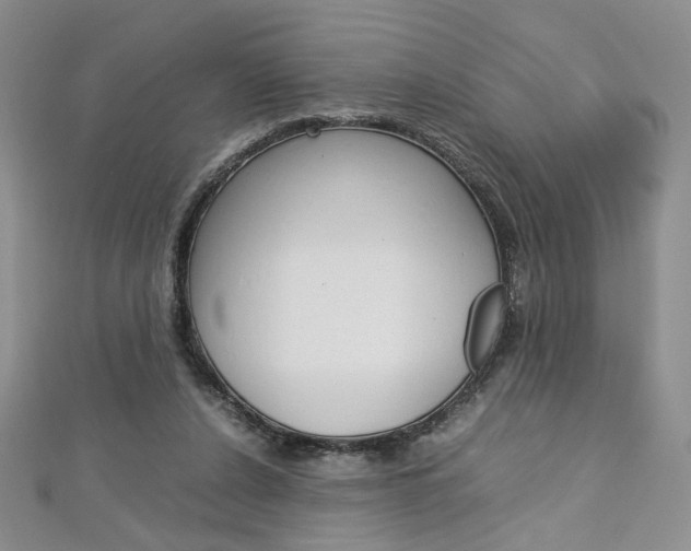 X0000113030256200908271102