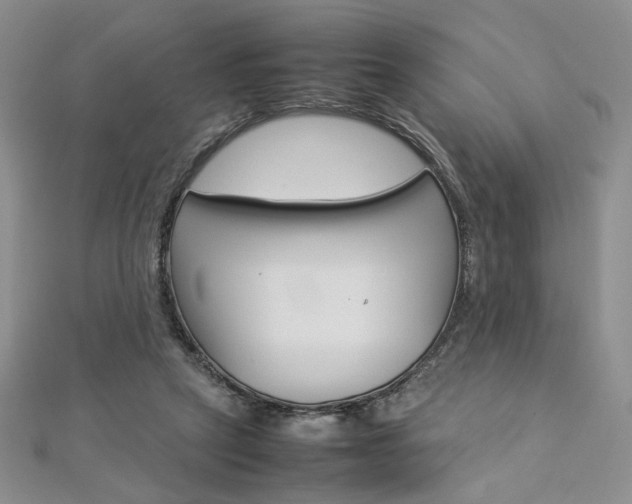 X0000113030257200908271102