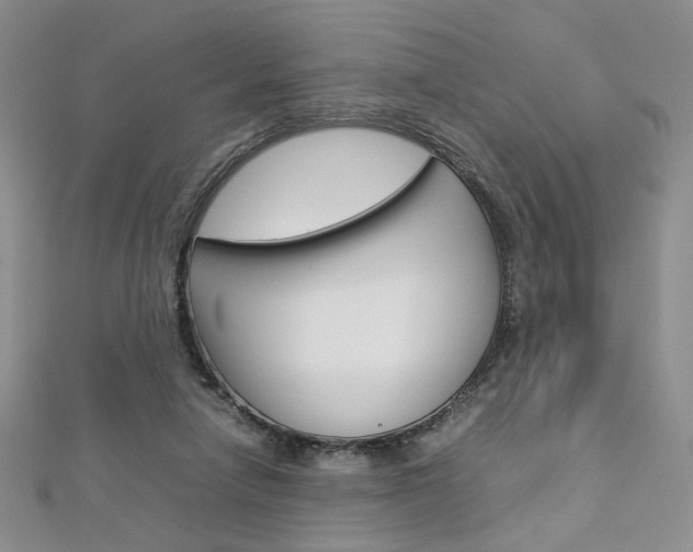 X0000113030258200908271102