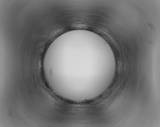 X0000113030259200908271102