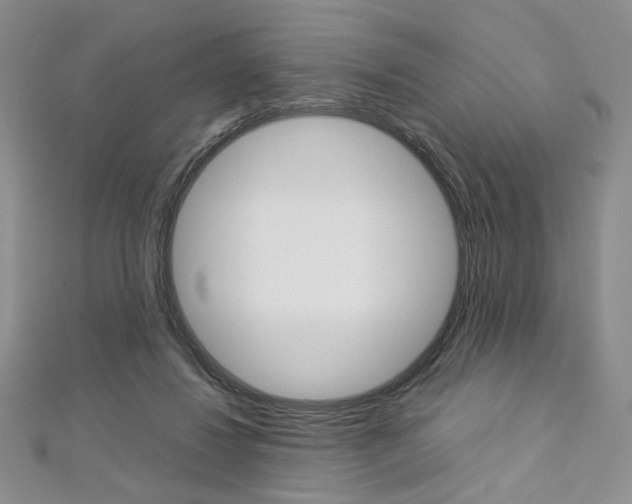 X0000113030260200908271102