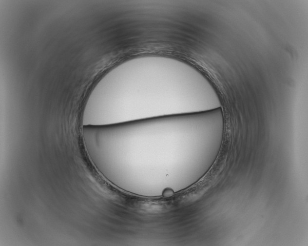 X0000113030261200908271102