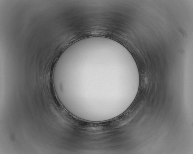 X0000113030263200908271102