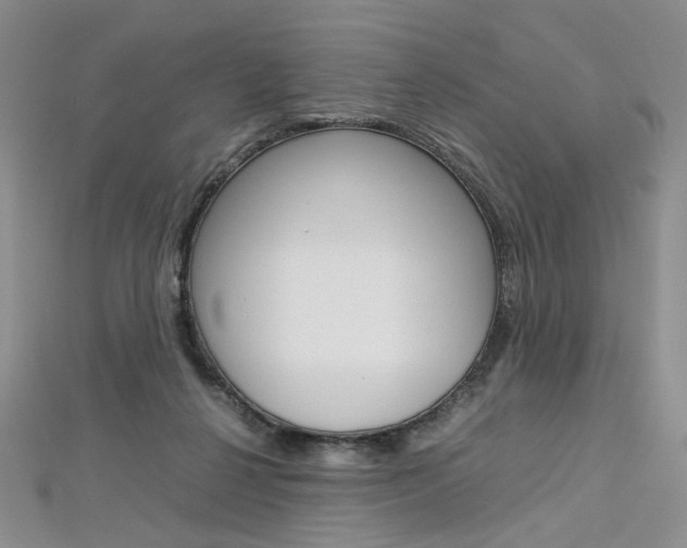 X0000113030264200908271102