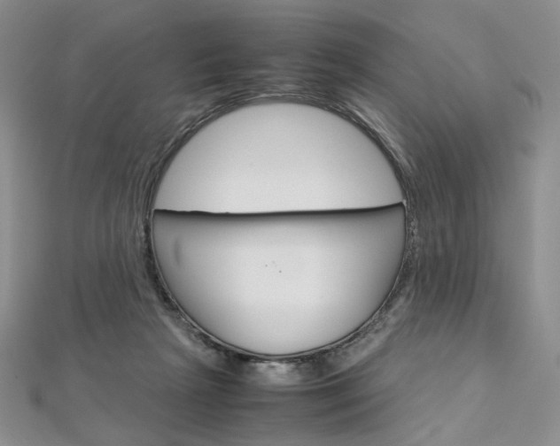 X0000113030265200908271102