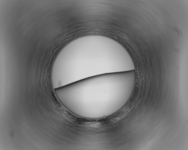 X0000113030266200908271102