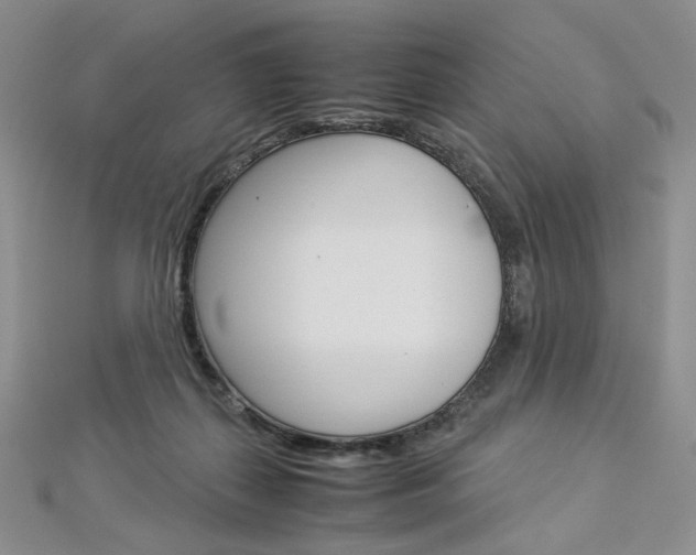 X0000113030267200908271102