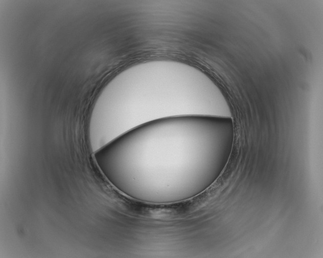 X0000113030268200908271102