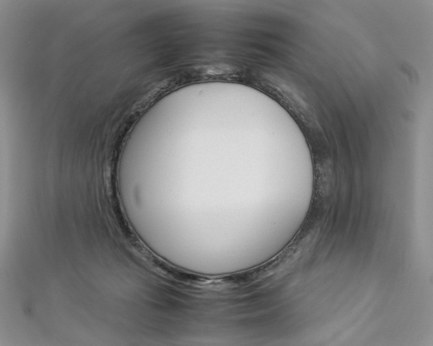 X0000113030269200908271102