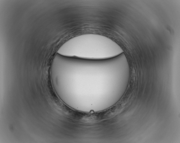 X0000113030271200908271102