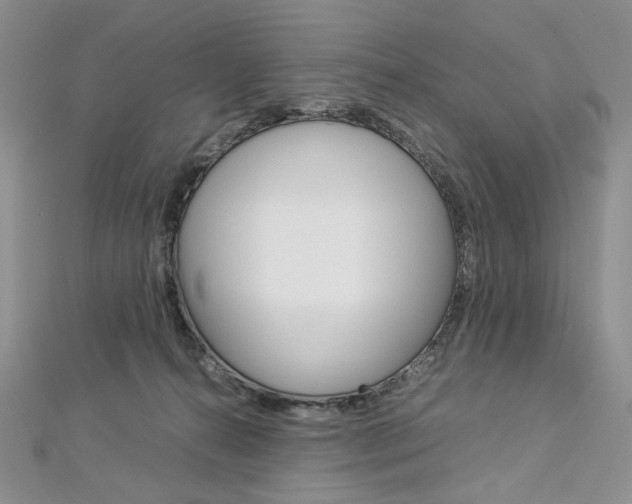 X0000113030272200908271102