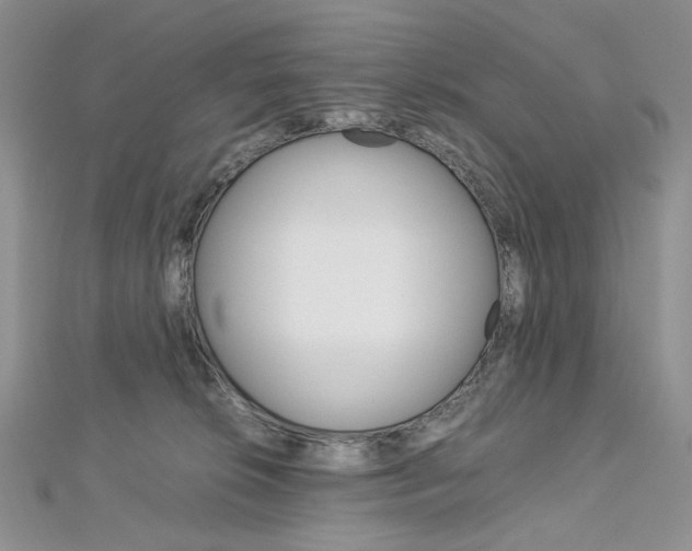 X0000113030276200908271102