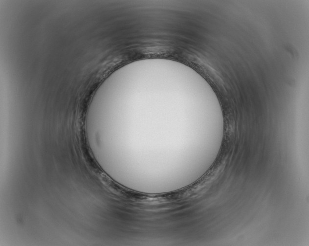 X0000113030277200908271102